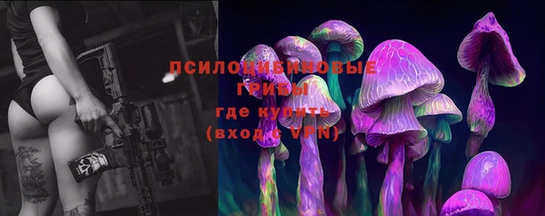 прущие крисы Красноперекопск