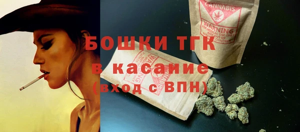 шишки Костерёво