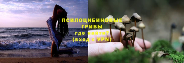 шишки Костерёво