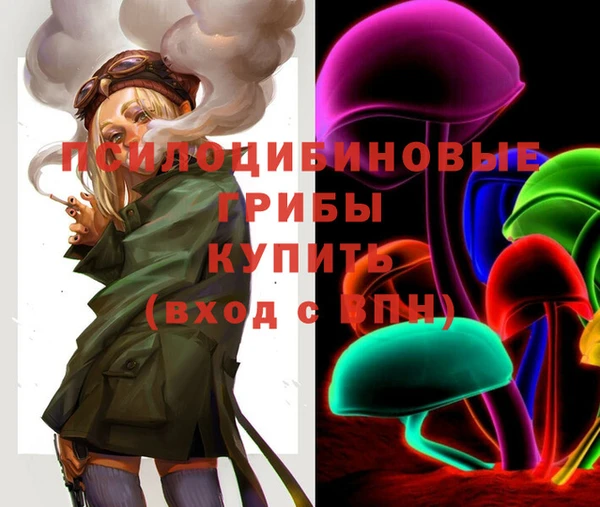 apvp Корсаков
