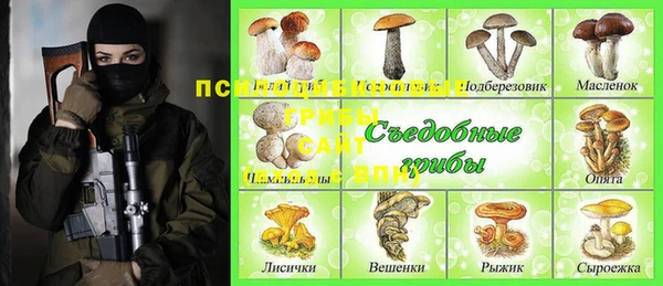 apvp Корсаков